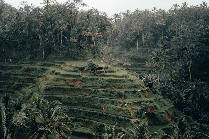 Rekomendasi Jalur Trekking di Pulau Bali!